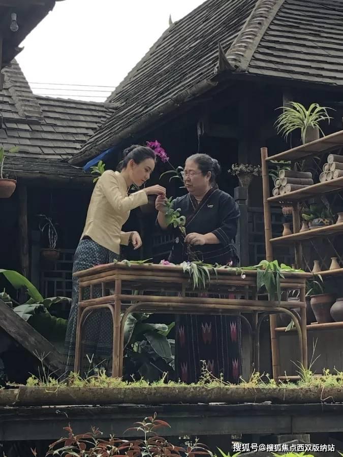 哈曼：我宁愿花两倍价钱引进博伊，也不愿花一半钱得到特里皮尔